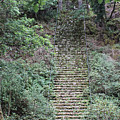 Glenveagh National Park 4335