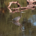 Heron Reflection