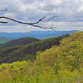 Shenandoah National Park
