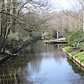 Keukenhof 2739