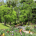 Will Rogers Gardens 0862